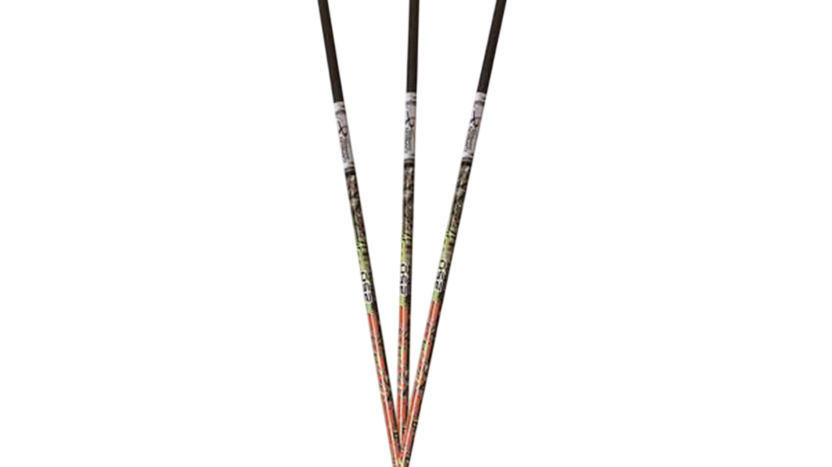 Hunting arrows fanned out, ready for a pre-season bow tune-up at Archery Country