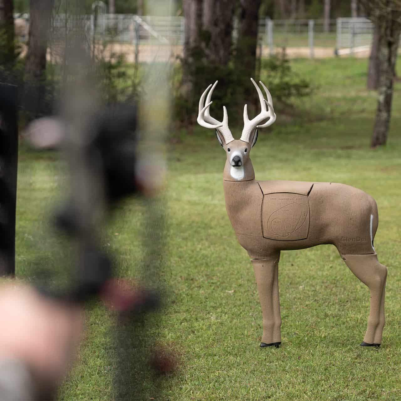 GlenDel Buck 4-Sided Core 3D Archery Target β Archery Country