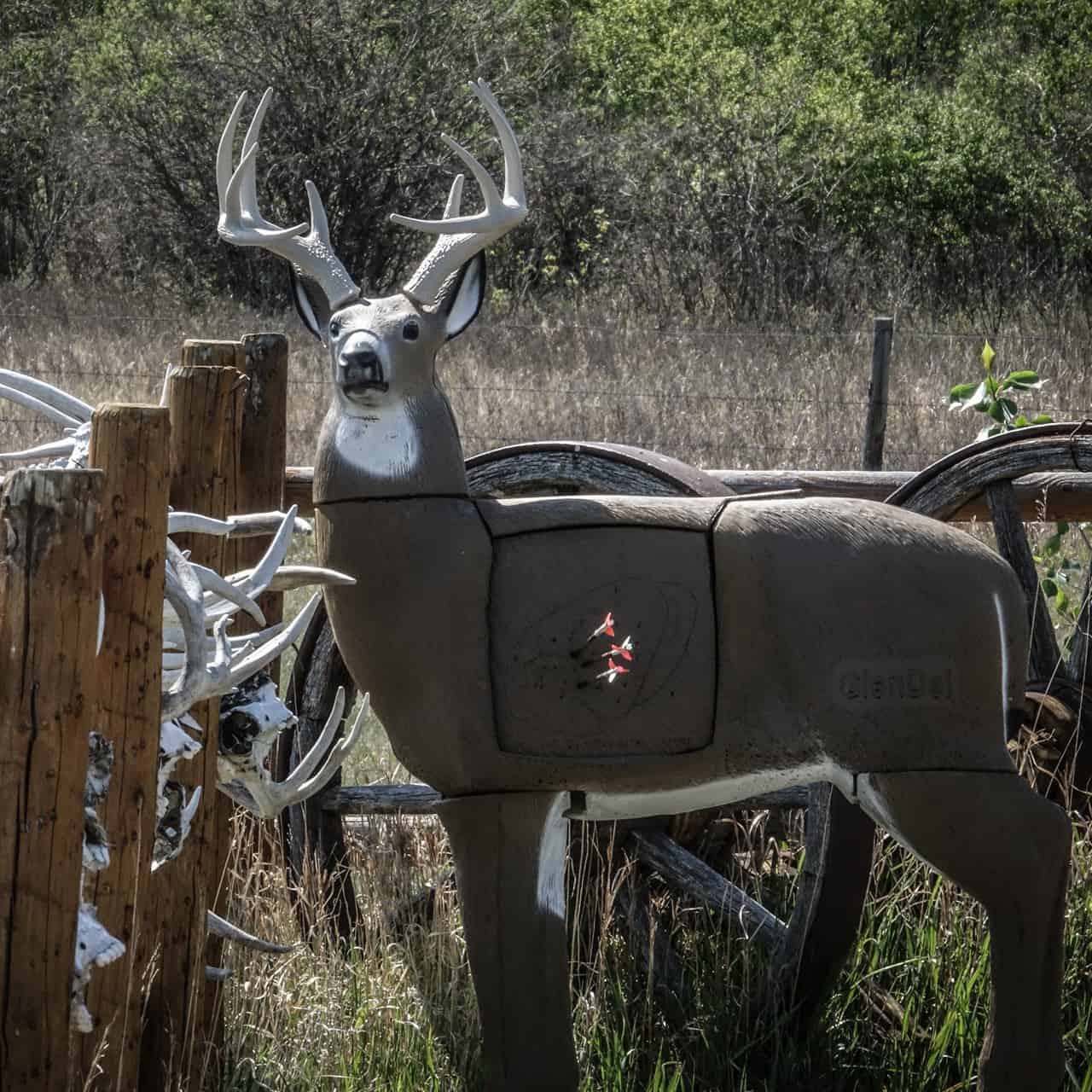 GlenDel Buck 4-Sided Core 3D Archery Target β Archery Country