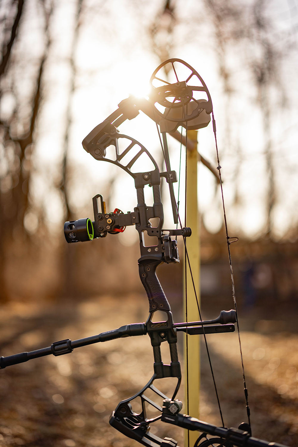 Compound bow with blurred forest background