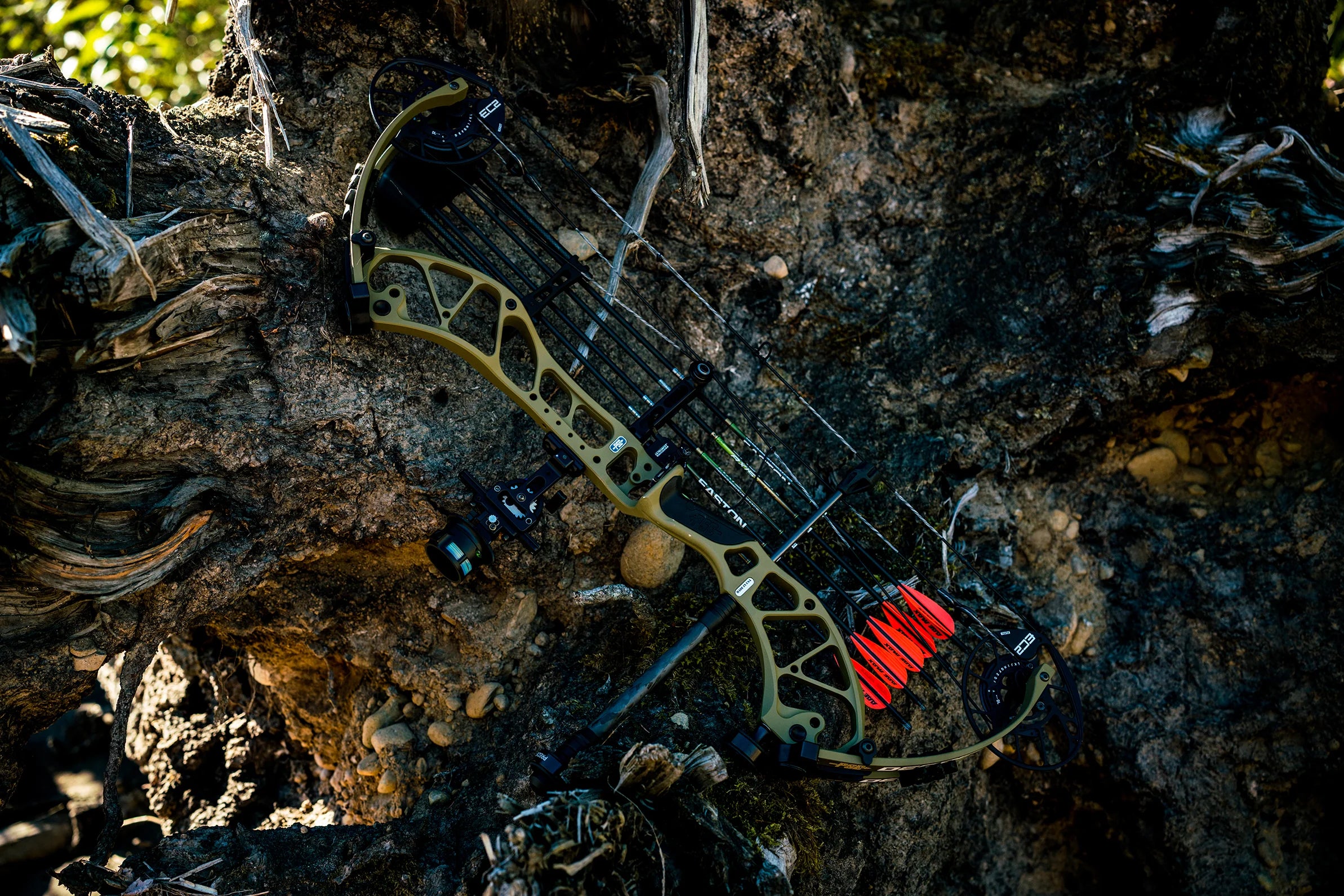 Compound bow on a rocky surface